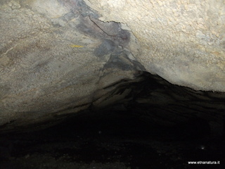 otta Petralia-17-03-2013 10-03-34